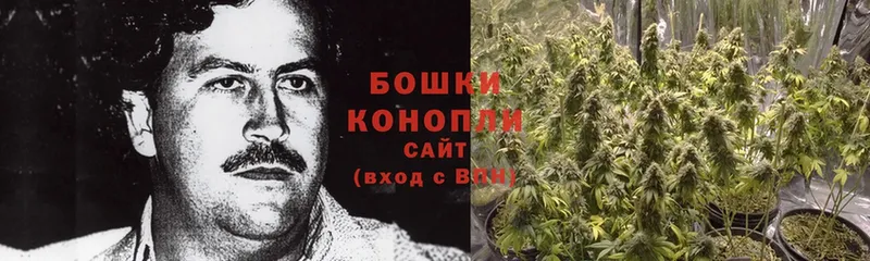 Шишки марихуана THC 21%  нарко площадка какой сайт  Исилькуль  мега как войти 